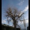 20051217_088